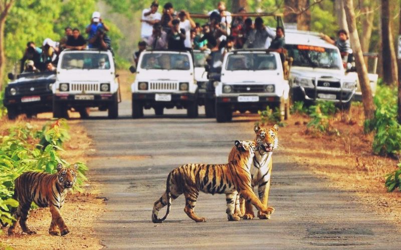 Rajaji National Park