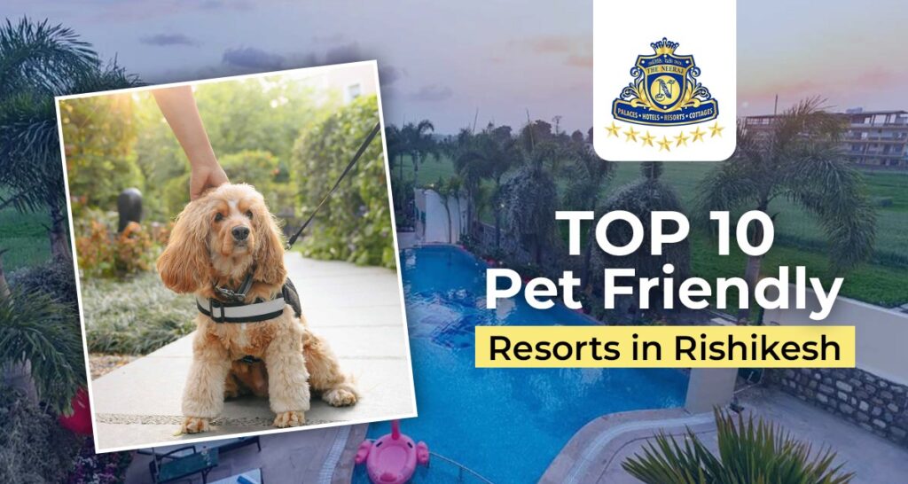 Top 10 Pet-Friendly Resorts in Rishikesh​