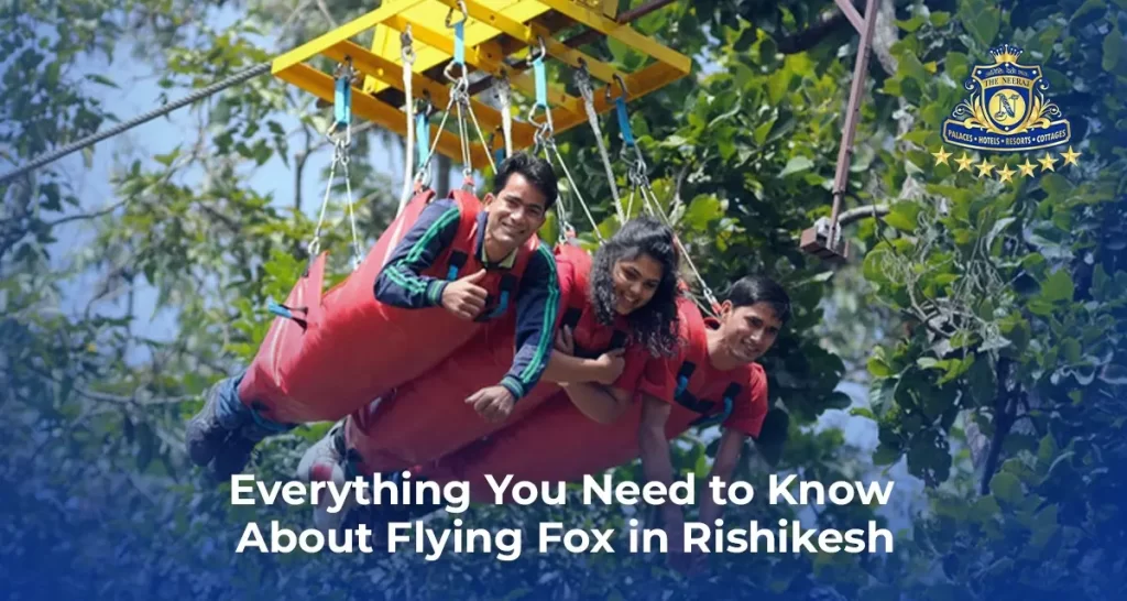 Everything You Need to Know About Flying Fox in Rishikesh