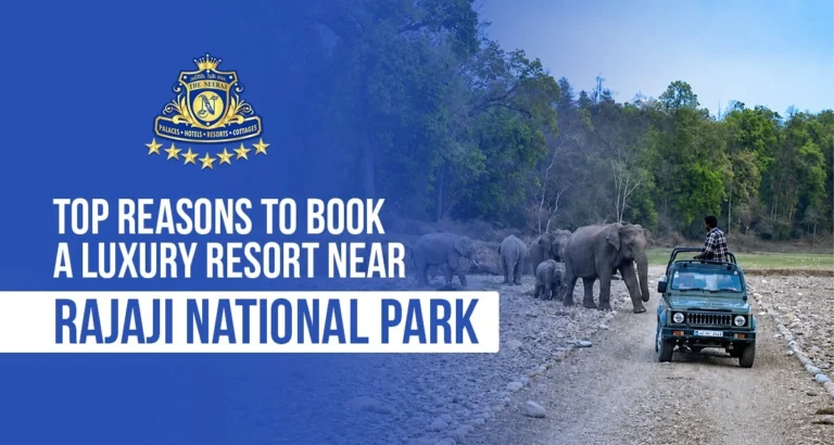 Top Reasons to Book a Luxury Resort Near Rajaji National Park